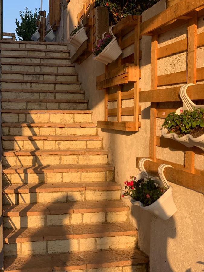 סרנדה Kenza Apartments מראה חיצוני תמונה