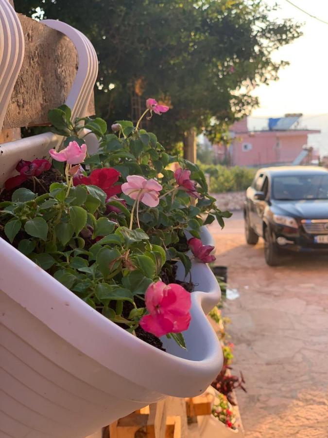 סרנדה Kenza Apartments מראה חיצוני תמונה