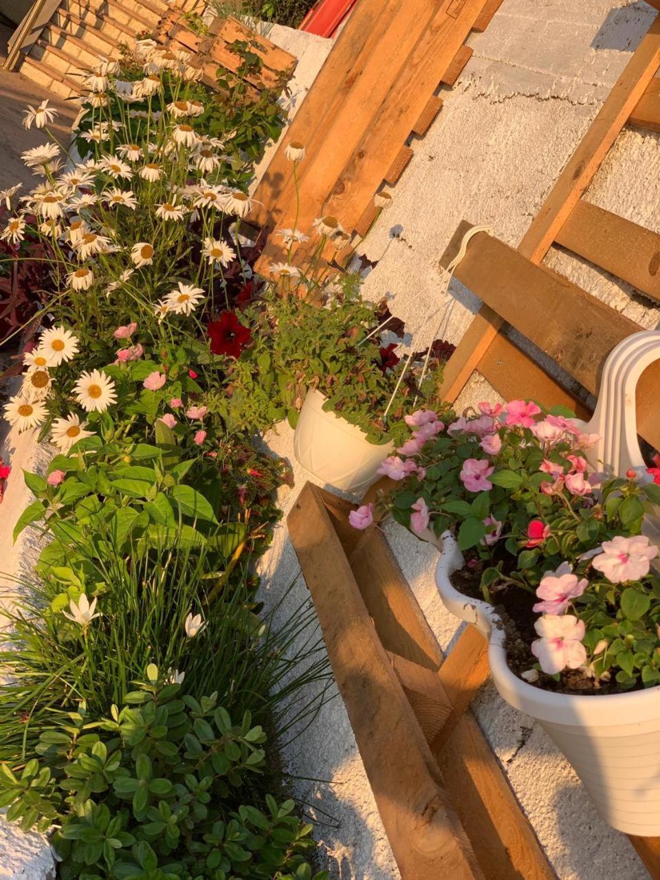 סרנדה Kenza Apartments חדר תמונה